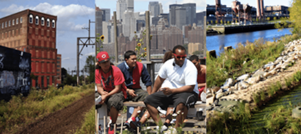 Civic Ecology Meets EdX: An Experiment in Online Social Learning and Action