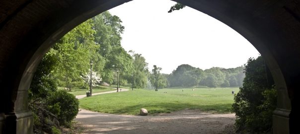 What Makes a “Great” City Park? The Beholder Sees