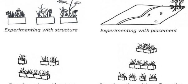 Popup Parks Reveal the Nature of Cities