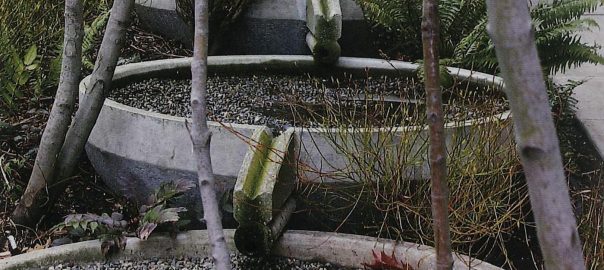 Stormwater Management as Both Utility and Amenity