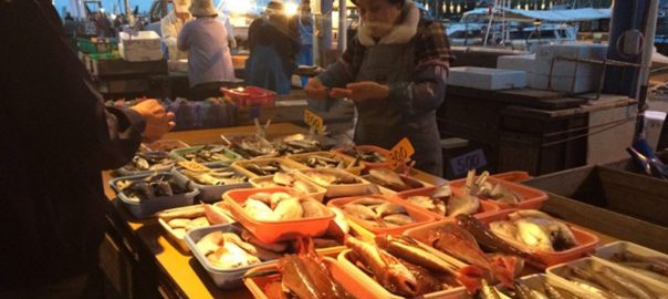 A Collaborative Project in City Planning for Urban Biodiversity in Japan