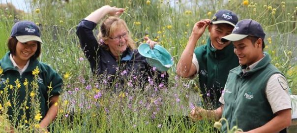 Opportunities and Challenges in Working with Volunteers in Local Parks