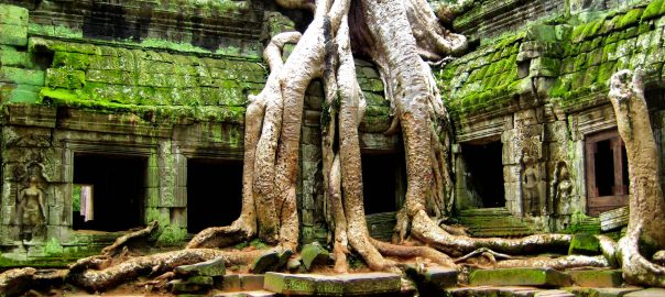 Green Form and Function versus Green Nativism: In changing urban spaces full of novel ecosystems and natural assemblages, is native purity a viable option?