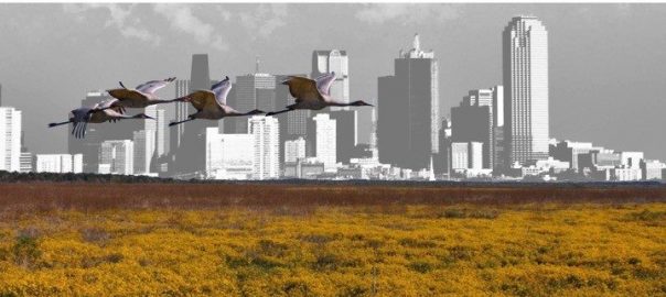 Branch Waters Urbanism: A Concept of Landscape That Organizes the Chaos of “Jungle Cities”