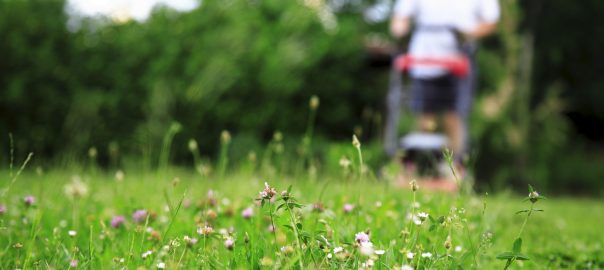 Can cities save bees? How can urban habitats be made to serve pollinator conservation? How can that story be better told?