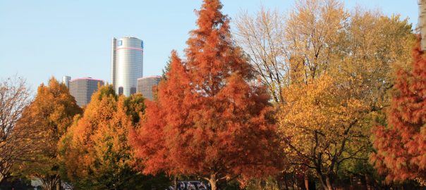 Lessons from Tinseltown: Nature’s Role in Alleviating Homelessness