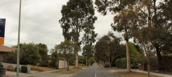 Greening Cities with an Urban Forest across Both Public and Private Domains