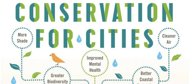To Harness Ecosystems, Conserve Them