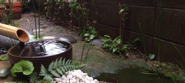Small Rain Gardens for Stormwater and Biodiversity in the City: Learning from Traditional Ways