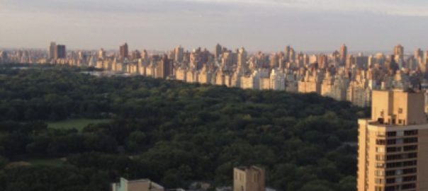 Environmental Education and Advancing Urbanization