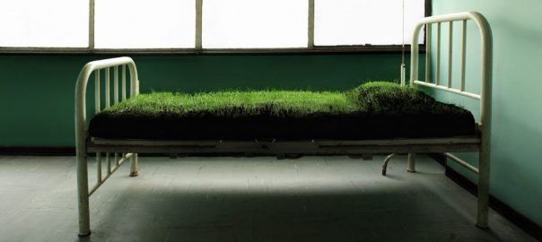 Visions of resilience: Eighteen artists say or show something in response to the word “resilience”