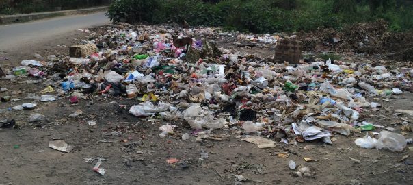 Establishing New Models of Human Rights: Creating Clean Places to Live