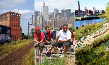Capturing Stewardship Stories: The Unlikely Tale of a Massive Open Online Course