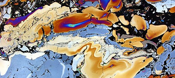 Look Who’s Coming to Dinner…Bacteria that Eat the Gowanus Sludge—TNOC Podcast Episode 7
