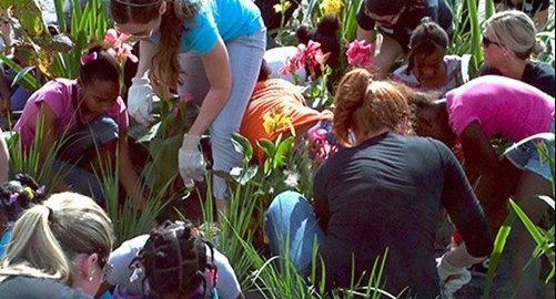 A Sustainable Future with Jobs and Social Harmony Starts with Urban Nature