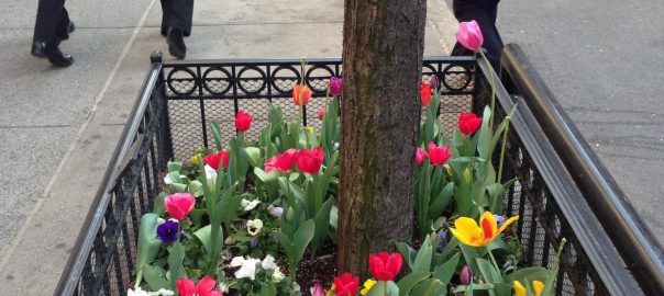 Highlights from The Nature of Cities in 2016