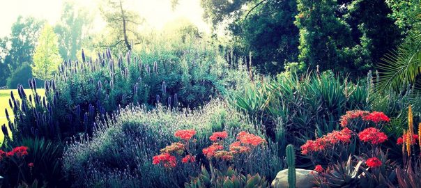 Scentimental Associations with Nature: Odor-Associative Learning and Biophilic Design