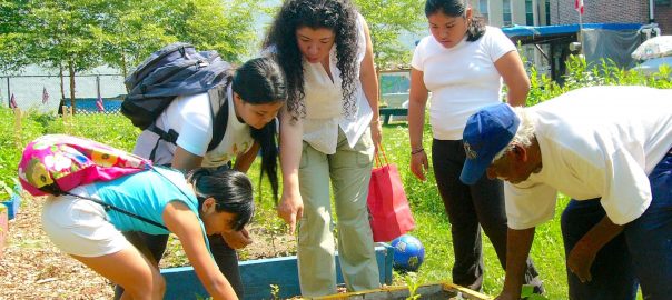Intergenerational Urban Environmental Education