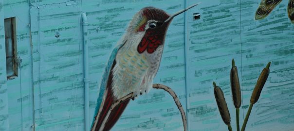 Anatomy of a Mural: A Seventy Foot Heron Transforms a Lifeless Wall