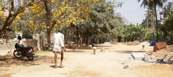 Despite Strategic Focus on Resilience, Nature-Based Solutions May Remain Under-Utilized in Indian Cities