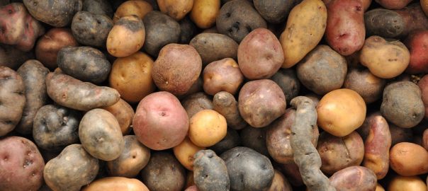 What is the Meaning of a Potato? Cuisine as Language for Biocultural Connectivity