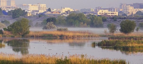 Restoration of Natural Ecosystems Makes Society Thrive