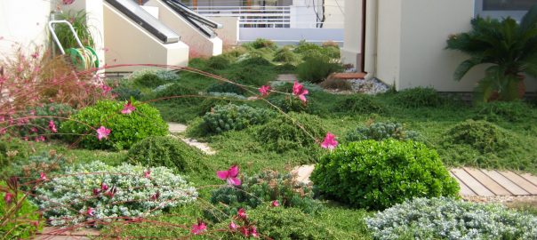 When Will We Start to Green the Roofs of Cities on a Massive Scale?