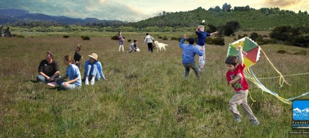 The Forgotten Rurality: The Case for Participatory Management in Bogotá and its Surrounding Countryside
