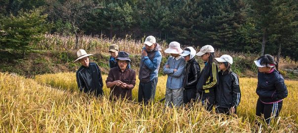 Farmers, Chefs, and Lawyers: Building an Ecology of One