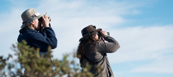 Citizen Science Facilitates Both Science and Engagement