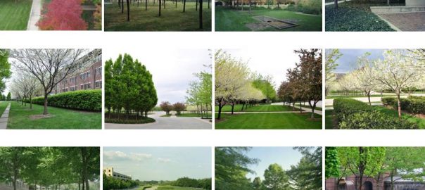 ONE LANDSCAPE: A MINI Treatise on the Suburban MEGA City and Tactics to Design Within It