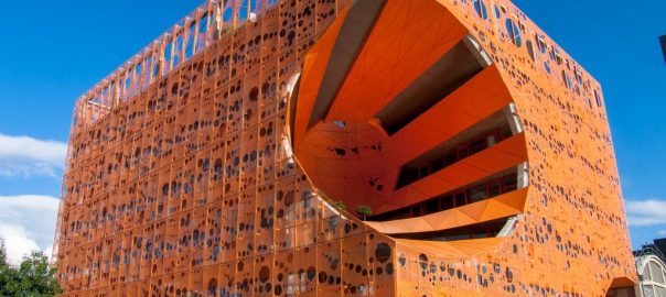 Some Birds Love Cities—Can Cities Love them Back? TNOC Podcast Episode 9