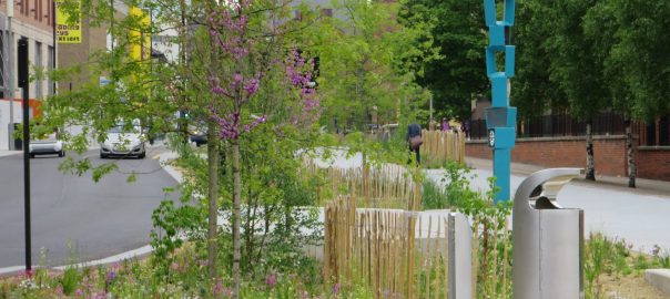 Designing Ecologically Sensitive Green Infrastructure that Serves People and Nature