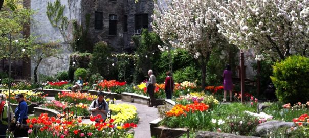 Morphology, Generosity, and the Nature of Cities