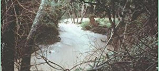 Full Function May Remain Out of Reach, But Urban Stream Restoration Can Empower Communities