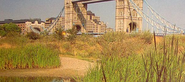 Celebrating the First Ecology Parks in London