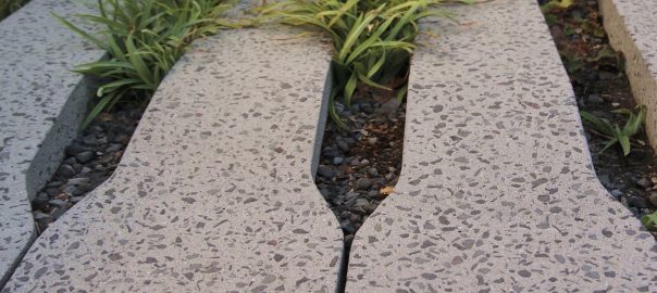 Environmental Education Generates Urban Sustainability