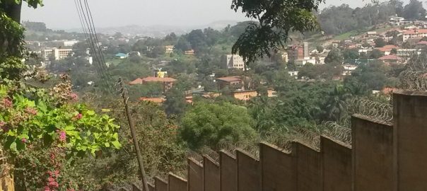 Five Reasons to Conserve Nature in Kampala