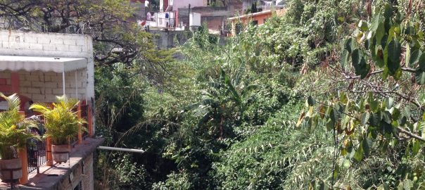 The Barrancas of Cuernavaca: Rescuing Lost Landscapes Hidden by Garbage
