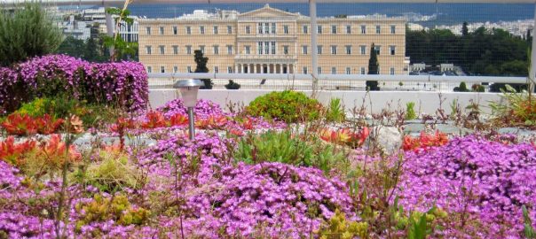 The Models are not Prescriptions—Applying Green Roof Technology in New Places
