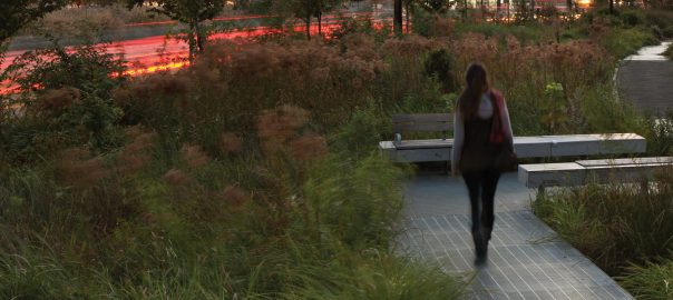 The Devil is in the Details: Wild Design, from an Ecological Point of View