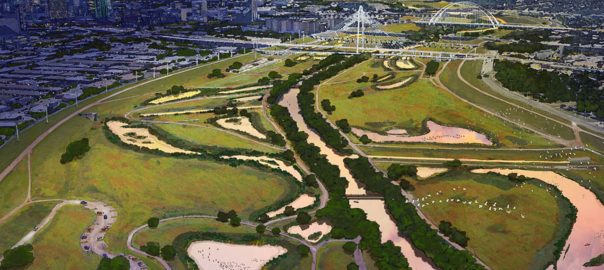 Re-Wilding: Cities by Nature