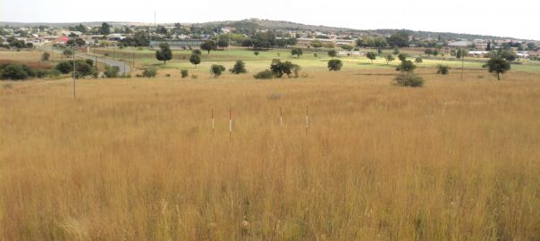 Extinction Debt: Is Urban Nature Conservation in Peril?