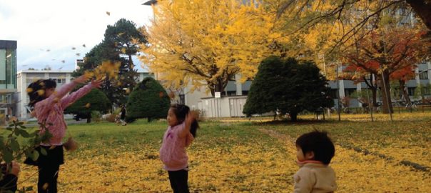 The Nature of Universities and Sustainability