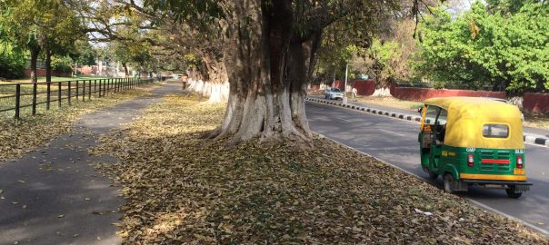 What South Asian Cities Seem to be Missing