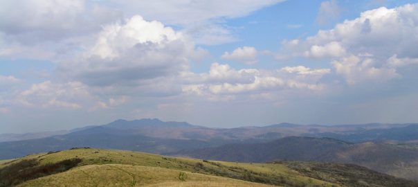 Thinking about a Landscape Approach to Revitalize the American Landscape