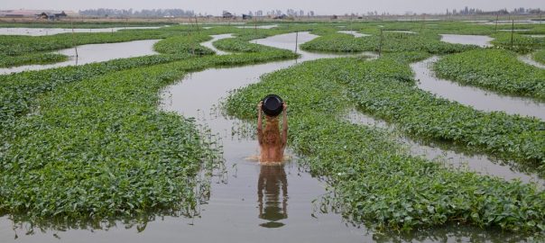Drought and Flood: A Silicon Valley Museum Explores Water, Society, and City