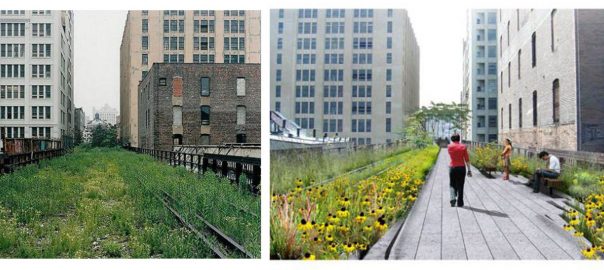 Ecologies of Elsewhere: Giving Urban Weeds a “Third Glance”