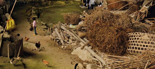 Past and Future? Living and Growing Food Underground