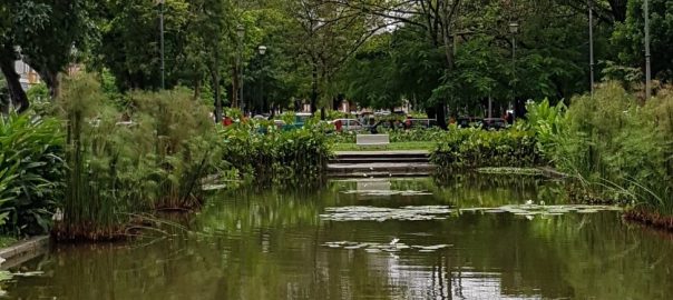 The New Urban Agenda: Is the Compact City Ecologically More Favorable than Dispersed Forms?